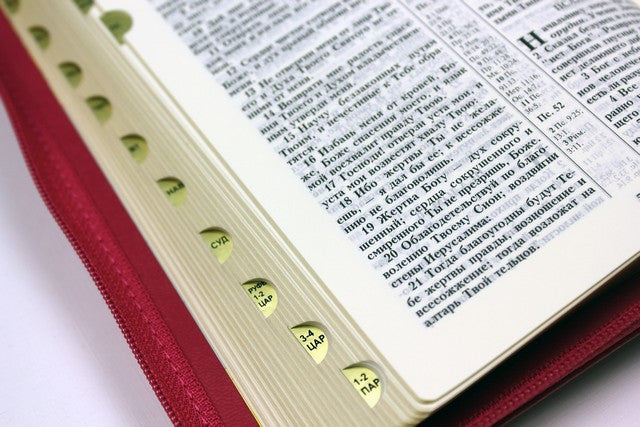 Russian Bible – Love Leatherette Zipper Softcover with Thumb Index – Image 8