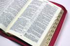 Russian Bible – Love Leatherette Zipper Softcover with Thumb Index – Image 9
