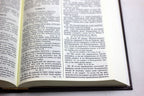 Russian Bible, Softcover
