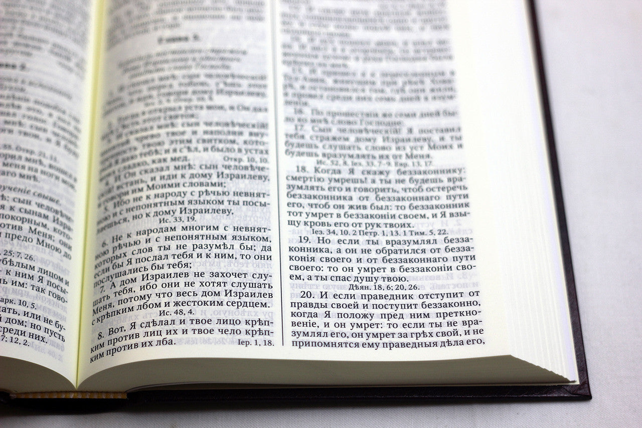Russian Bible, Softcover