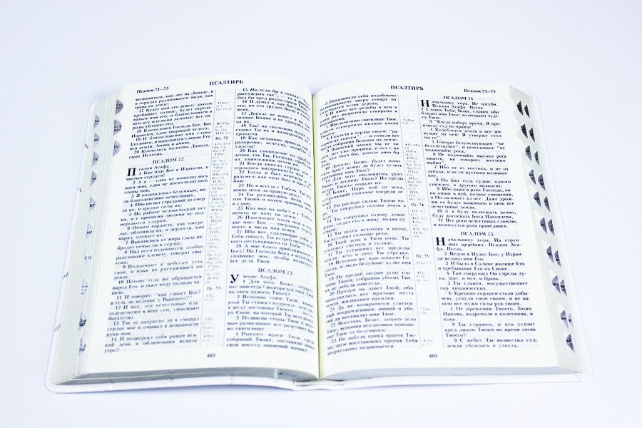 Russian Bible, Softcover, Thumb Index, Gold edges, 185 x255 мм