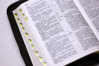 Ukrainian Bible – Chocolate Leatherette Zipper Softcover, Ohienko – Image 4