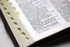 Ukrainian Bible – Ohienko translation, Виноград, Leatherette, Softcover, Zipper
