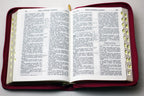 Ukrainian Bible – Classic Leatherette Zipper with Thumb Index and Gold Edges, Ohienko – Image 5