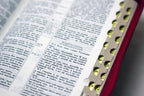 Ukrainian Bible – Classic Leatherette Zipper with Thumb Index and Gold Edges, Ohienko – Image 7