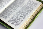 Ukrainian Bible – Ohienko translation, Оливкова, Leatherette, Softcover, Zipper, Thumb Index