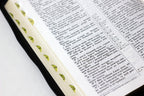 Ukrainian Bible – Ohienko translation, Leatherette, Zipper, Thumb Index, Gold edges