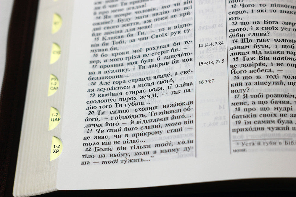 Ukrainian Bible – Ohienko translation, Оливки, Leatherette, Zipper, Thumb Index, Gold edges