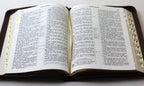 Ukrainian Bible – Ohienko translation, Оливки, Leatherette, Zipper, Thumb Index, Gold edges