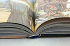 Ukrainian Children's Bible