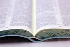 Russian Bible, Leatherette, Softcover
