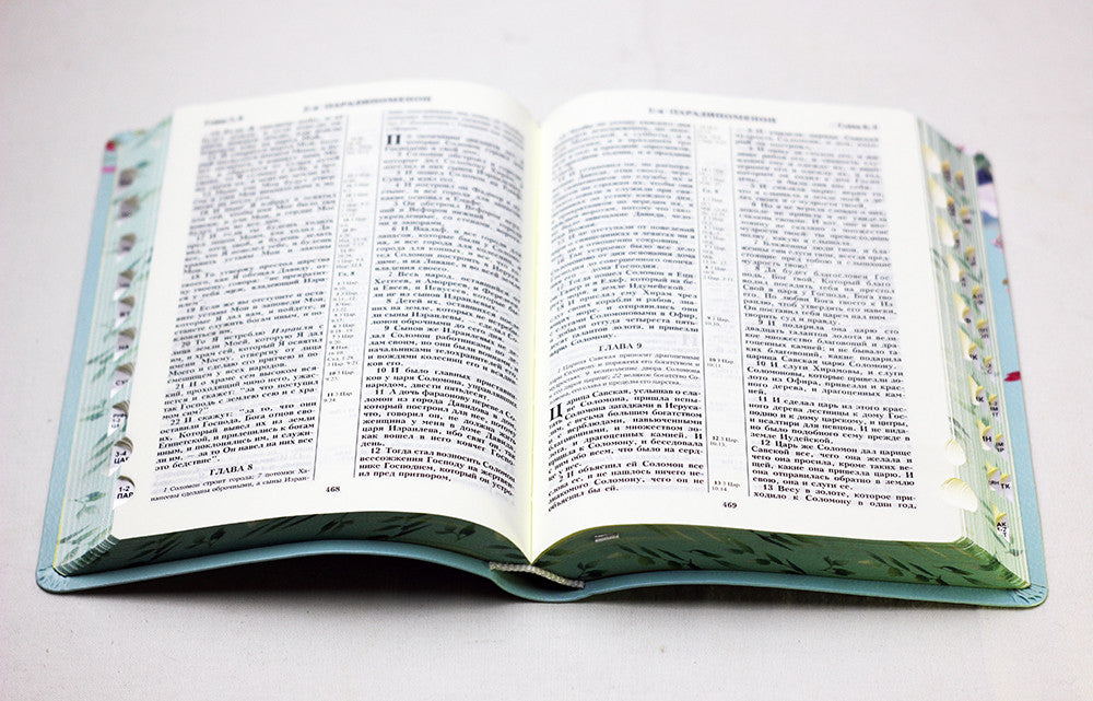 Russian Bible, Leatherette, Softcover
