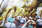 Ukrainian Children's Bible – Hardcover, Treasury of Bible Stories – Image 6