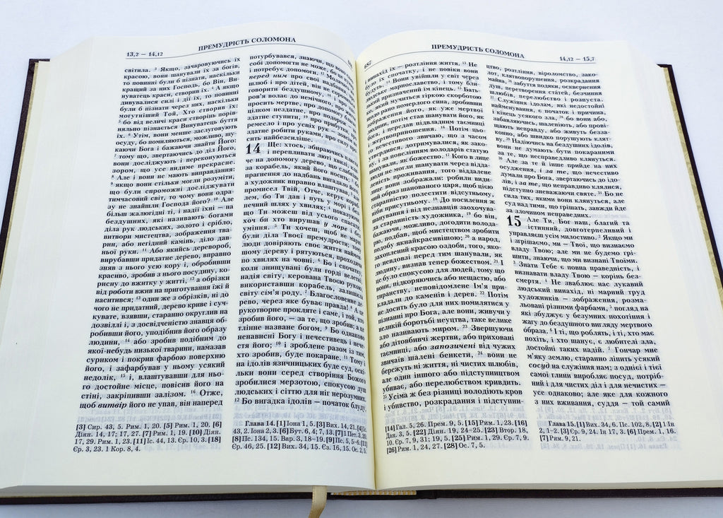 Ukrainian Bible – Burgundy Hardcover with Gold Edges, Filaret Translation, 17 × 24 cm – Image 4
