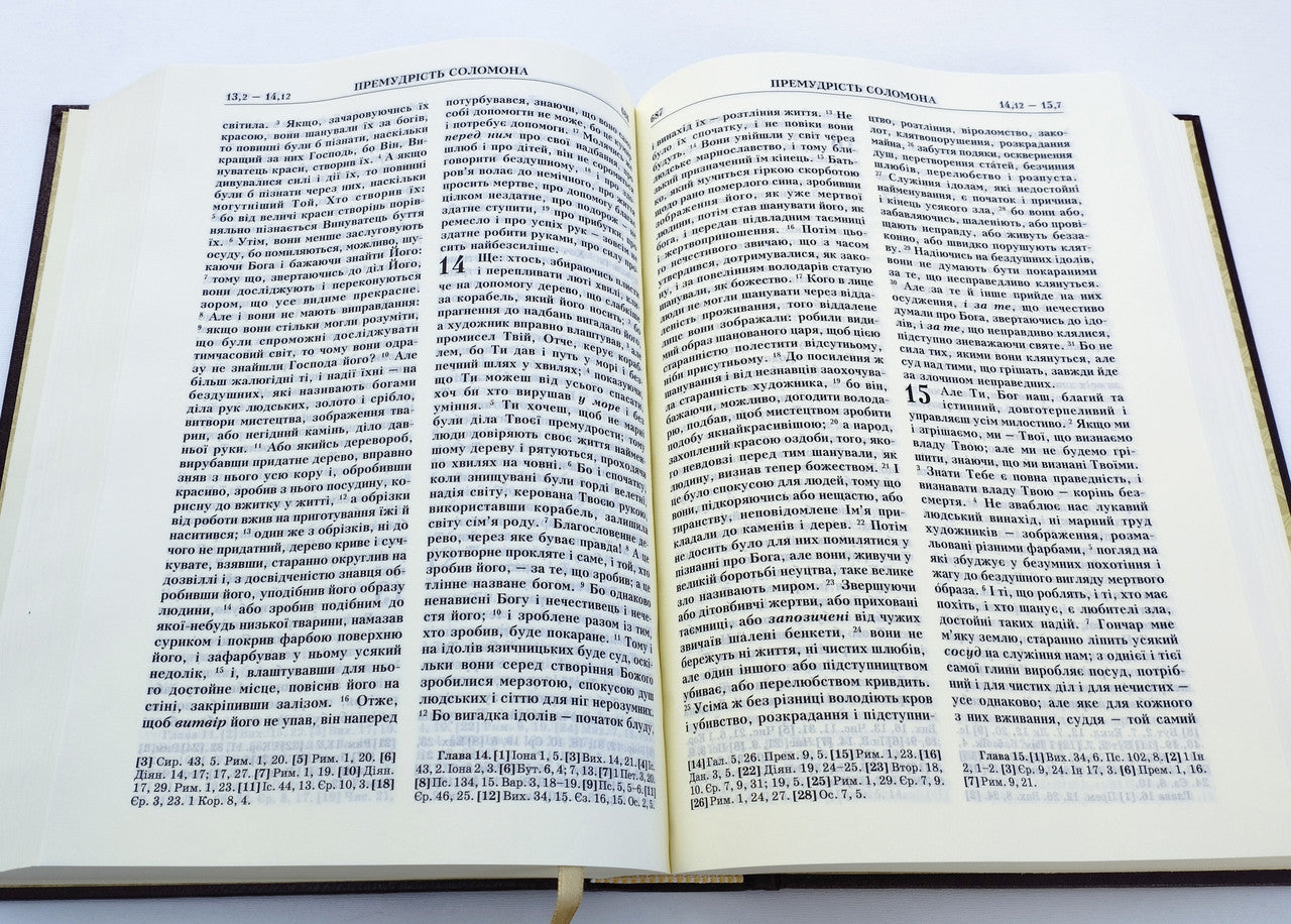 Ukrainian Bible – Burgundy Hardcover with Gold Edges, Filaret Translation, 17 × 24 cm – Image 4