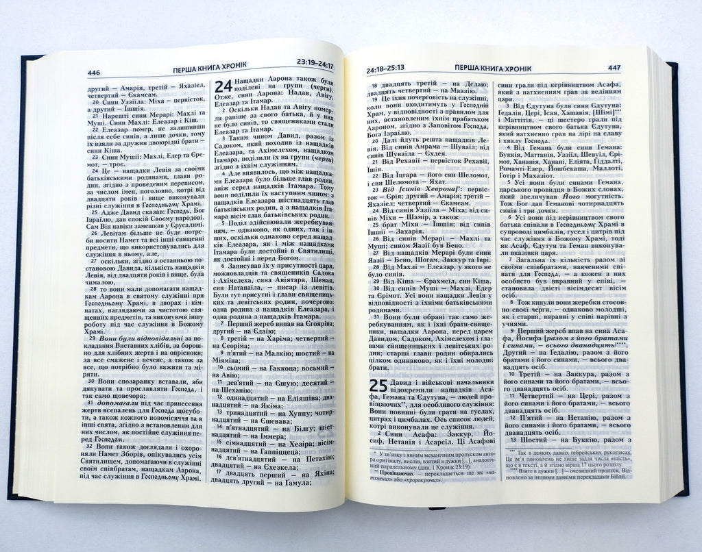Ukrainian Bible – Modern Ukrainian Translation, Softcover, 17x24 см