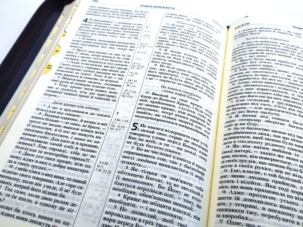 Ukrainian Bible – Brown Leatherette Zipper Hardcover with Thumb Index (18 × 25 cm), Modern Translation – Image 5