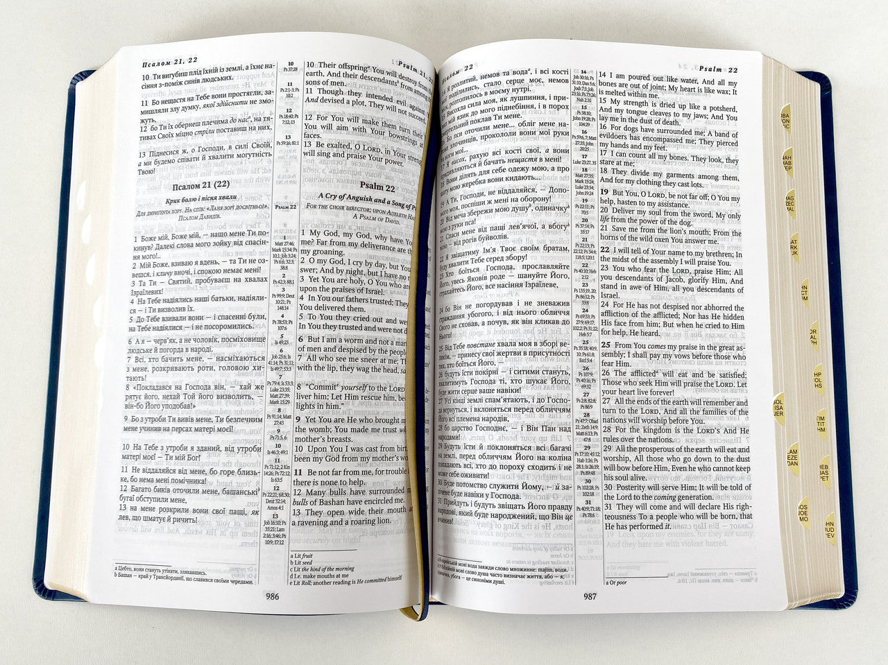 Parallel Ukrainian-English Bible – Blue Leatherette Hardcover with Thumb Index and Gold Edges, Ohienko / NASB – Image 5