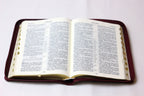 Russian Bible, Leatherette, Softcover, Zipper, Thumb Index, Gold edges