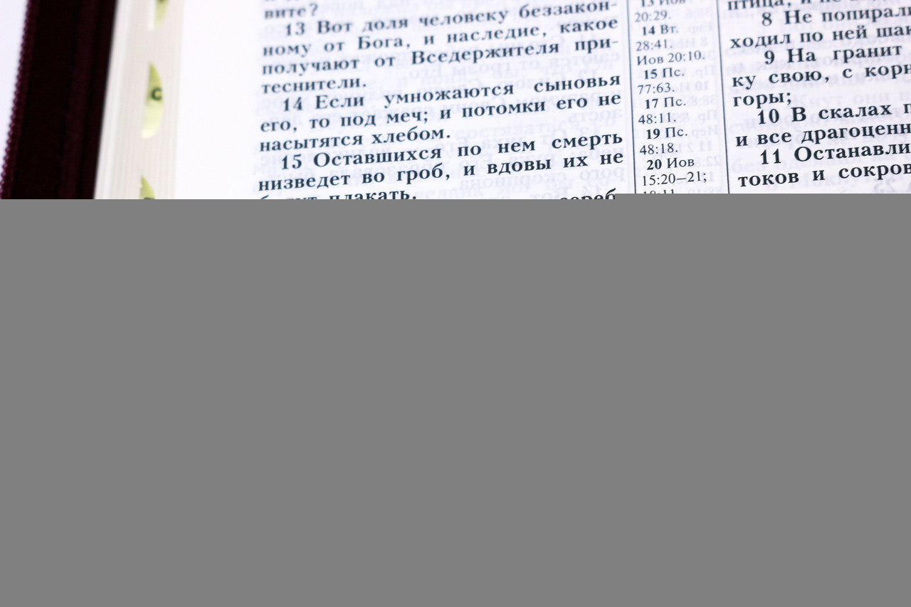 Russian Bible, Leatherette, Softcover, Zipper, Thumb Index, Gold edges