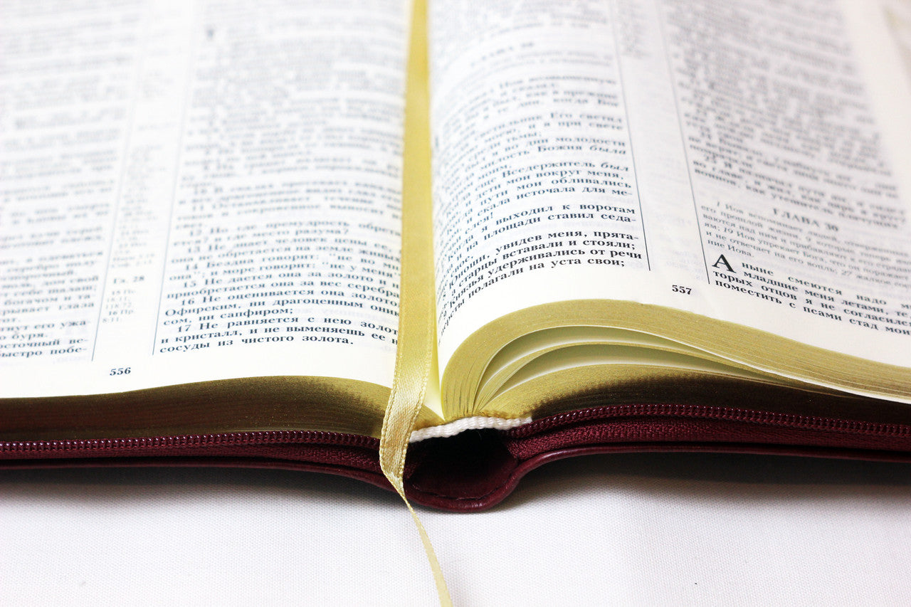 Russian Bible, Leatherette, Softcover, Zipper, Thumb Index, Gold edges